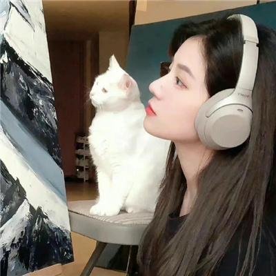 美国豚鼠4：献祭